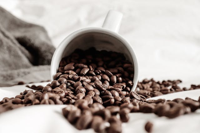 Les vertus multiples et souvent insoupçonnées du café en grain