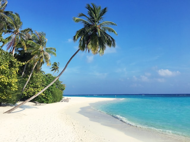 Quelles îles de rêve ferez-vous découvrir cette année ?