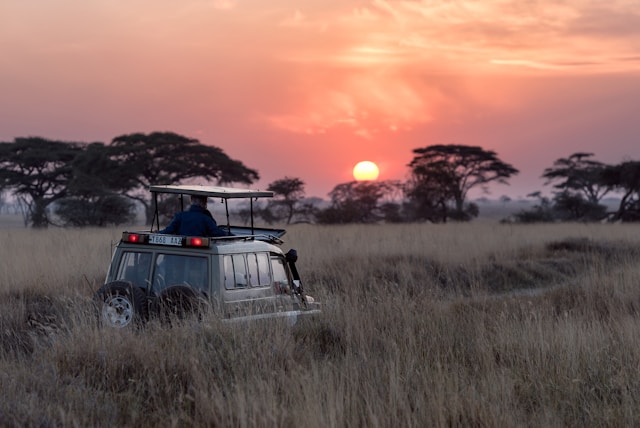 Comment vivre une expérience inoubliable en famille lors d’un safari en Afrique ?