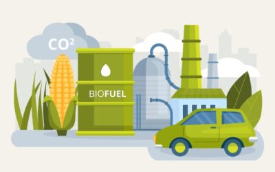 carburants alternatifs
