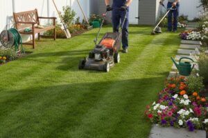 entretien pelouse