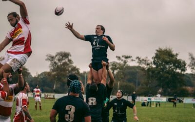 rugby professionnel