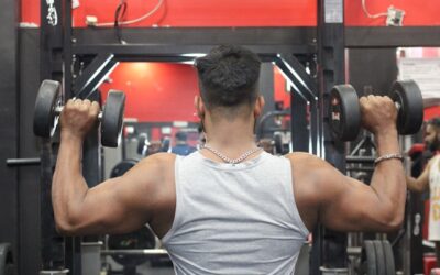 Programmes de musculation