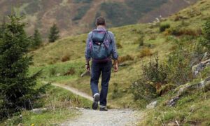 Homme marchant sur un chemin de montagne avec un sac à dos, des arbres et des rochers autour