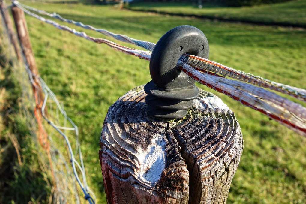 Corde nouée autour d'un clou en bois, fixée à une clôture en bois, dans un champ herbeux